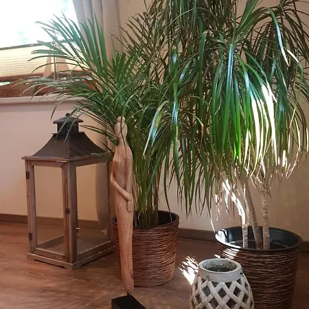 펜션 An Der Suedlichen Boddenkueste Bartelshagen (Vorpommern-Rugen)